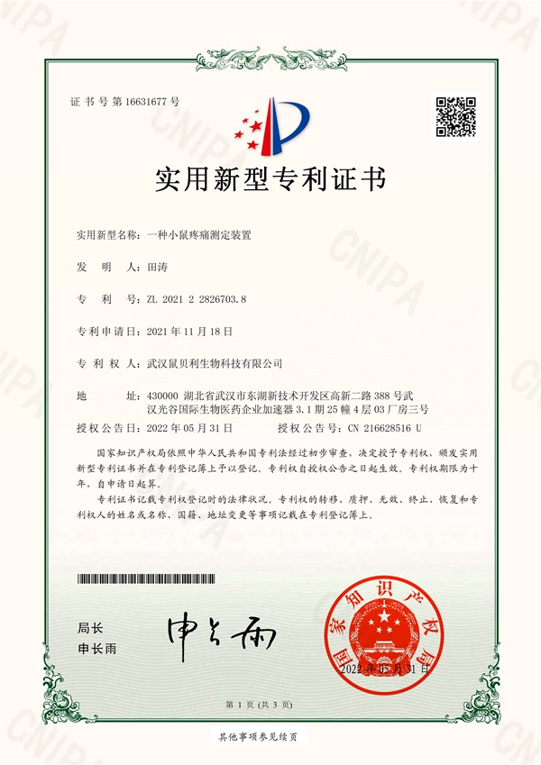 一种小鼠疼痛测定装置