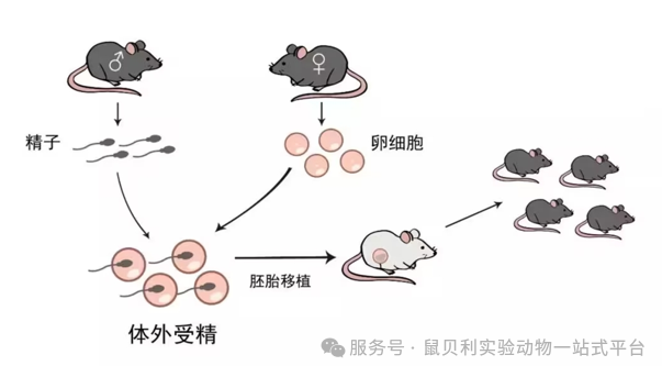 2345截图20250804111352.png