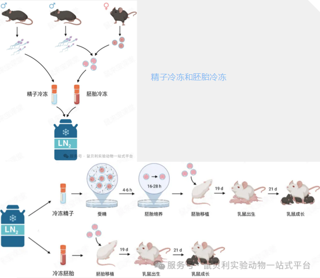 2345截图20250804111436.png